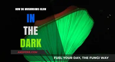 Mushrooms' Magical Glow: Unveiling Nature's Luminescence