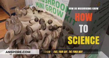 Unveiling Mushroom Growth: The Fascinating Science Behind Their Development