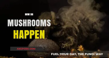 Mushroom Growth: Nature's Magic