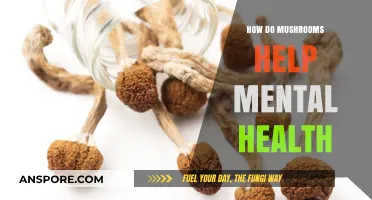 Mushrooms: Nature's Mental Health Allies