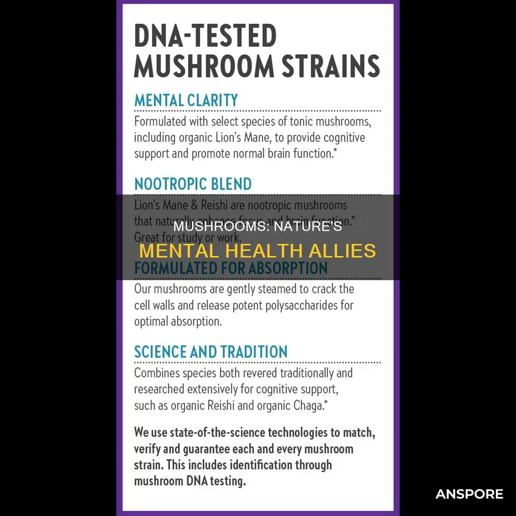 how do mushrooms help mental health
