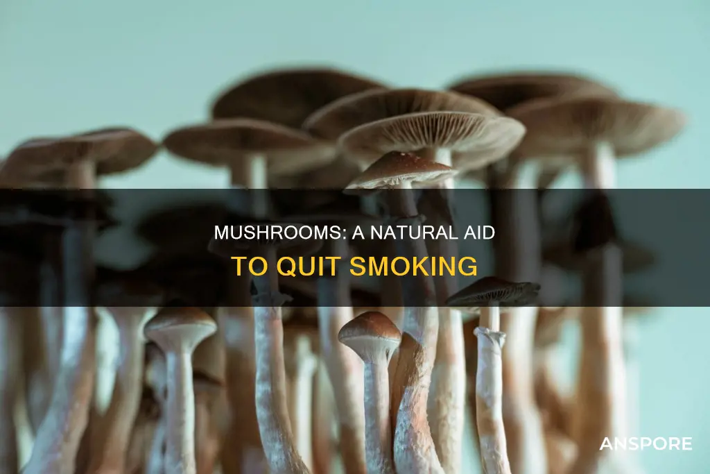 how do mushrooms help quit smoking