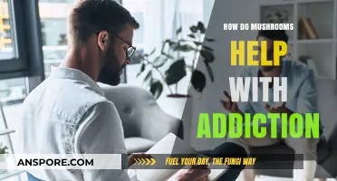 Mushrooms: A Natural Aid for Addiction Recovery