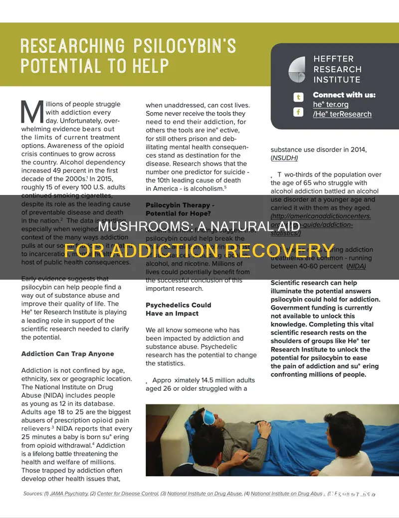 how do mushrooms help with addiction