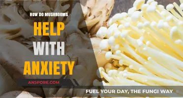 Mushrooms: Natural Anxiety Relief
