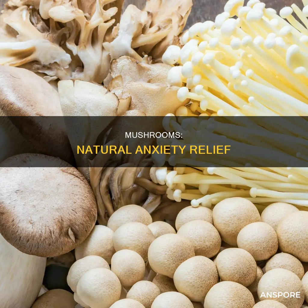 how do mushrooms help with anxiety