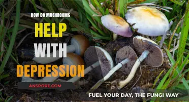 Mushrooms: Natural Allies Against Depression