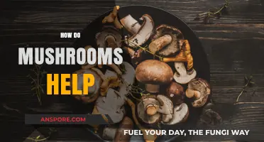 Mushrooms: Nature's Superfood for Health and Wellness