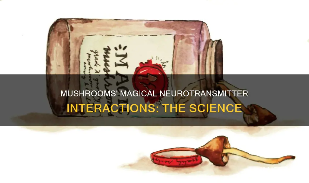 how do mushrooms interact with neurotransmitters