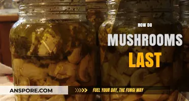 Make Your Mushrooms Last: Storage Tips and Tricks