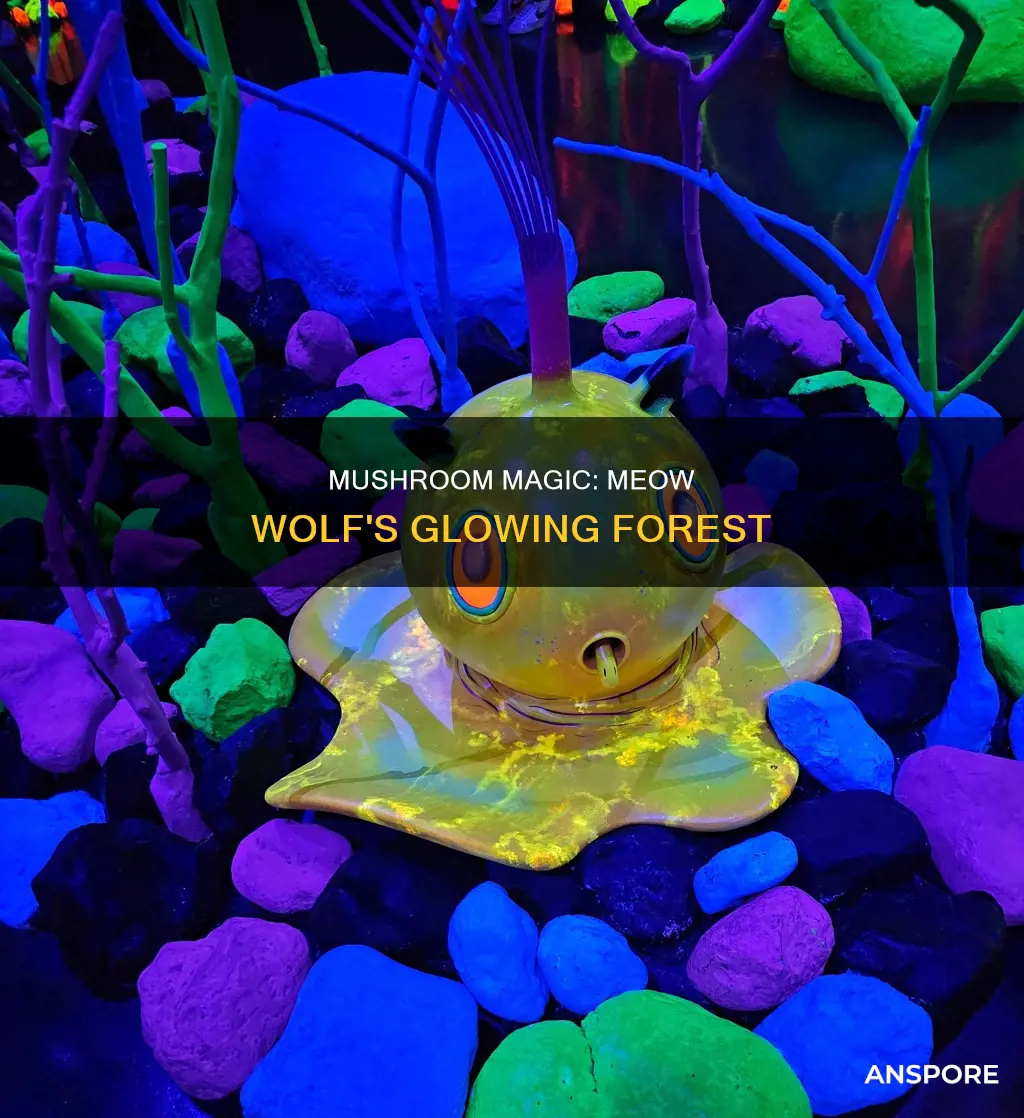 how do mushrooms light up at meow wolf