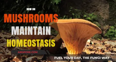 Mushrooms' Intriguing Homeostasis: Secrets Unveiled