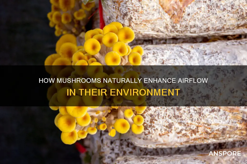 how do mushrooms make airflow