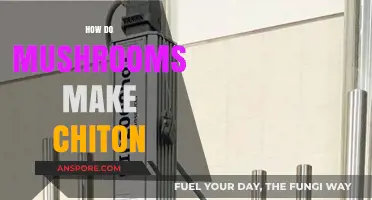 Unveiling the Fungal Secret: How Mushrooms Naturally Produce Chiton