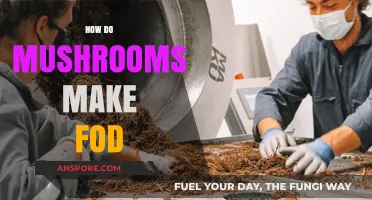 Unveiling the Fascinating Process of Mushroom Food Production