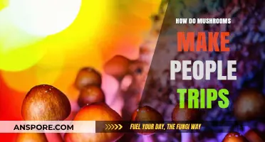 Unveiling the Psychedelic Journey: How Mushrooms Induce Mind-Altering Trips