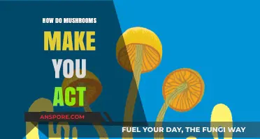 Unveiling the Mind-Altering Effects of Mushrooms on Human Behavior