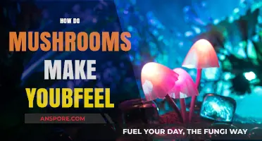 Exploring the Emotional and Physical Effects of Mushrooms on Your Body