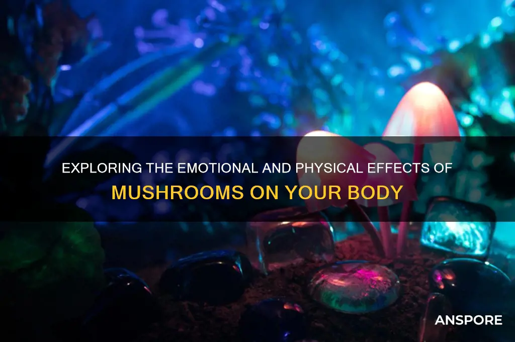 how do mushrooms make youbfeel