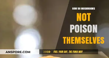 Mushrooms' Self-Defense: How Fungi Avoid Their Own Toxins