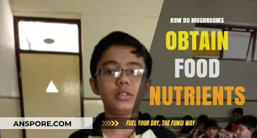 Mushrooms' Unique Way of Absorbing Food Nutrients