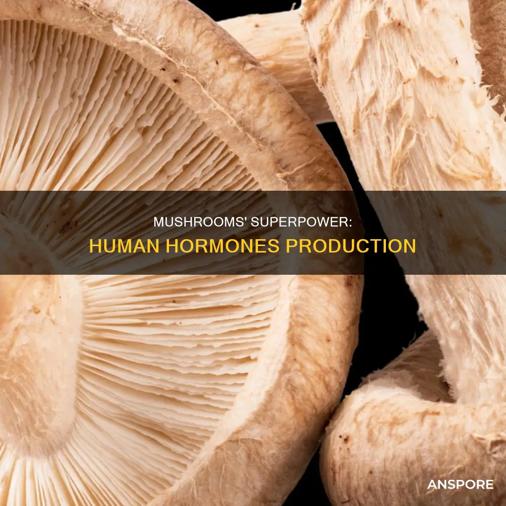 how do mushrooms produce human hormones
