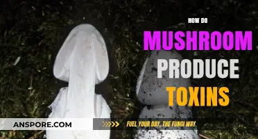 Mushrooms' Toxic Tricks: How Do They Make Poisons?