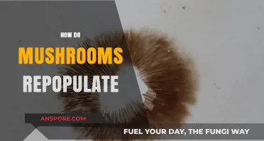 Mushrooms' Intriguing Reproduction: Secrets of Their Success