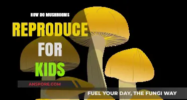 Magic Mushrooms: How Do They Make Babies?