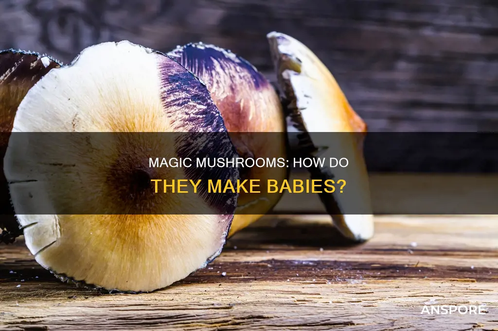 how do mushrooms reproduce for kids