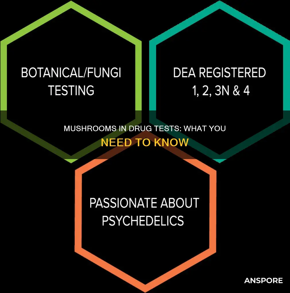 how do mushrooms show up in a drug test