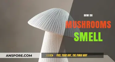 Mushroom Scents: The Aroma of Fungi