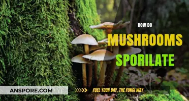 Mushrooms' Sporulation: Nature's Intricate Survival Mechanism