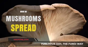 Mushrooms' Intricate Web of Propagation