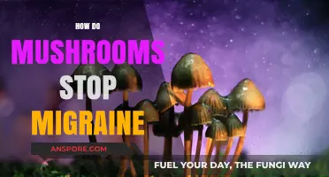 Mushroom Power: Migraine Relief Naturally