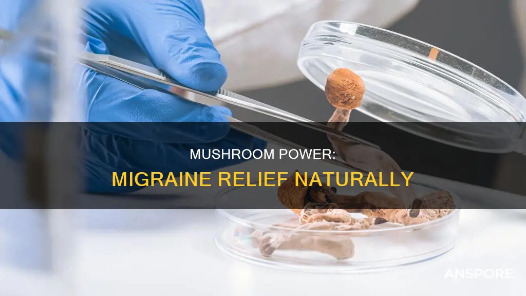 how do mushrooms stop migraine