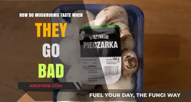 Spoiled Mushrooms: Uncovering the Unpleasant Taste of Gone-Bad Fungi