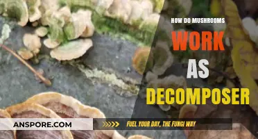 Mushrooms: Nature's Decomposing Superheroes