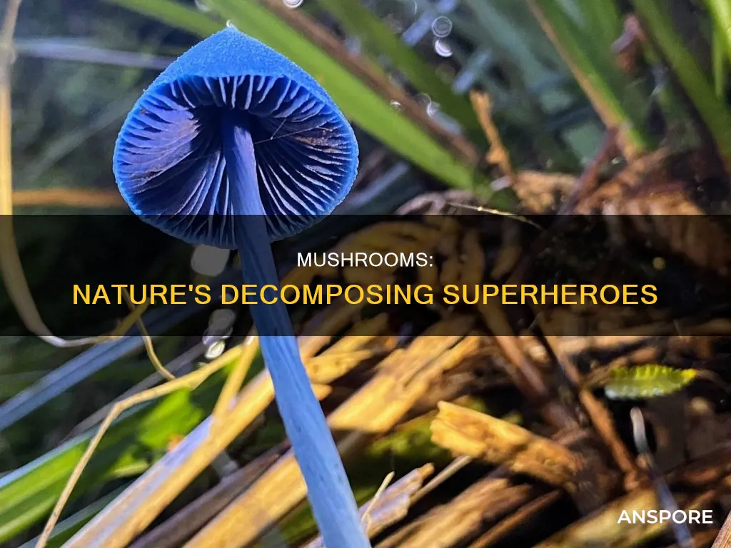 how do mushrooms work as decomposers