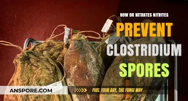 Nitrates and Nitrites: Effective Inhibitors of Clostridium Spores Explained