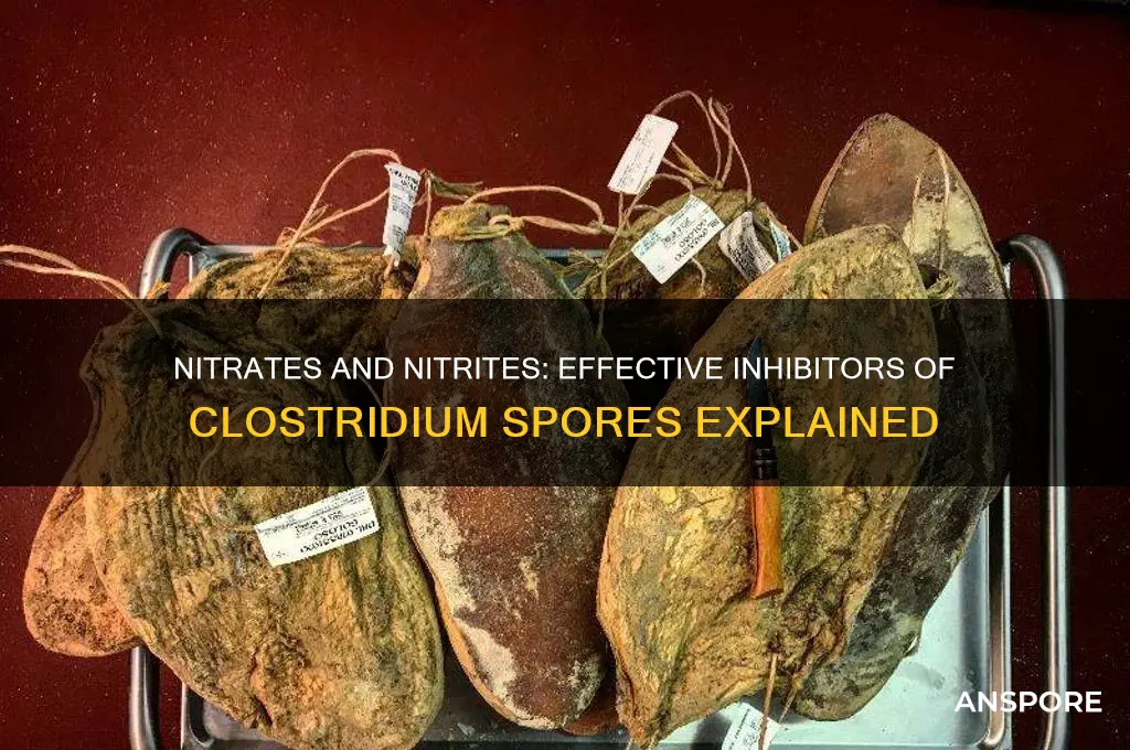 how do nitrates nitrites prevent clostridium spores