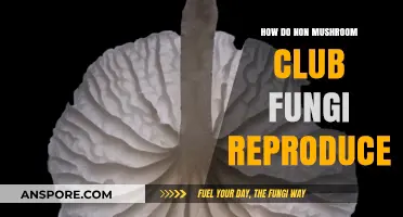 Fungi Reproduction: Beyond the Mushroom Club