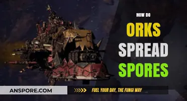 Unveiling the Ork Spores: How Do Orks Spread Spores?