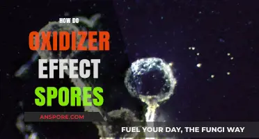 How Oxidizers Effectively Neutralize Spores: Mechanisms and Applications