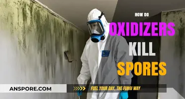 How Oxidizers Effectively Destroy Spores: A Comprehensive Scientific Explanation
