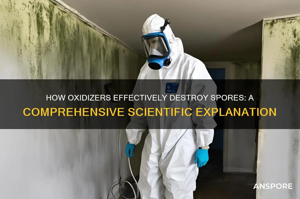 how do oxidizers kill spores