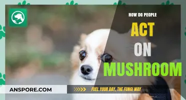 Mushroom Trips: Bizarre Behavior Explained