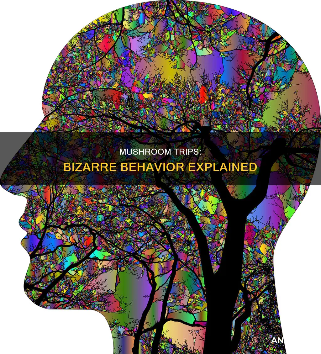 how do people act on mushrooms