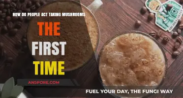 First-Time Mushroom Trip: What to Expect