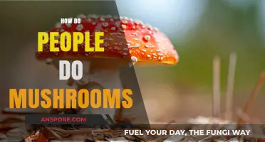 Exploring the World of Mushroom Trips